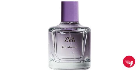 gardenia zara perfume 2021